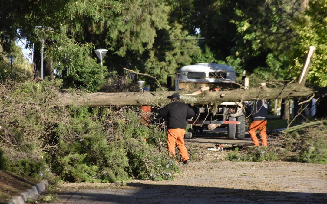 TRABAJAMOS DE MANERA COORDINADA PARA NORMALIZAR NUESTRA CIUDAD LUEGO DEL INTENSO TEMPORAL QUE CAUSÓ SIGNIFICATIVOS DAÑOS MATERIALES