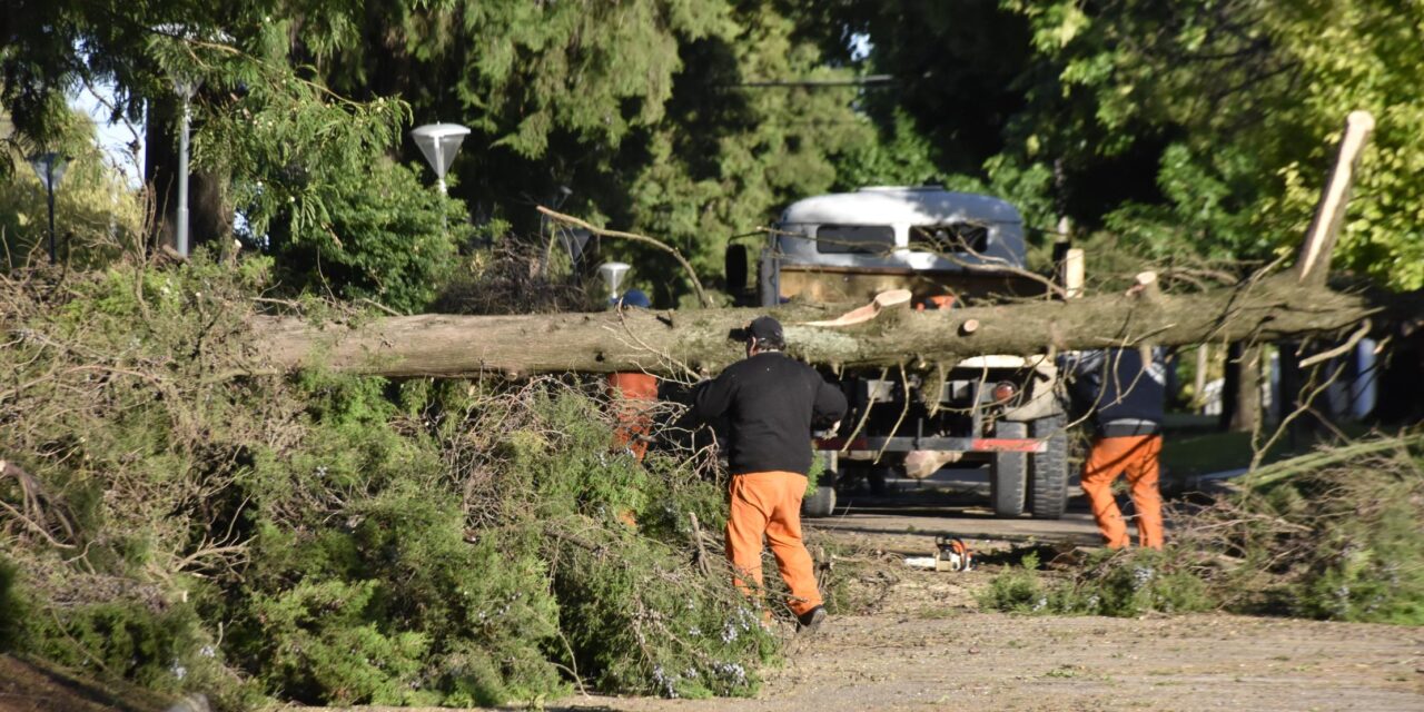 TRABAJAMOS DE MANERA COORDINADA PARA NORMALIZAR NUESTRA CIUDAD LUEGO DEL INTENSO TEMPORAL QUE CAUSÓ SIGNIFICATIVOS DAÑOS MATERIALES