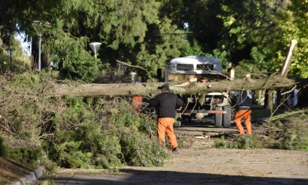 TRABAJAMOS DE MANERA COORDINADA PARA NORMALIZAR NUESTRA CIUDAD LUEGO DEL INTENSO TEMPORAL QUE CAUSÓ SIGNIFICATIVOS DAÑOS MATERIALES