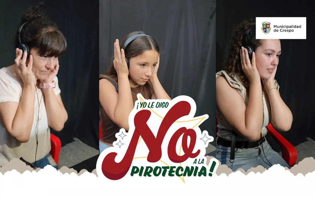 Ordenanza sobre pirotecnia y locales habilitados