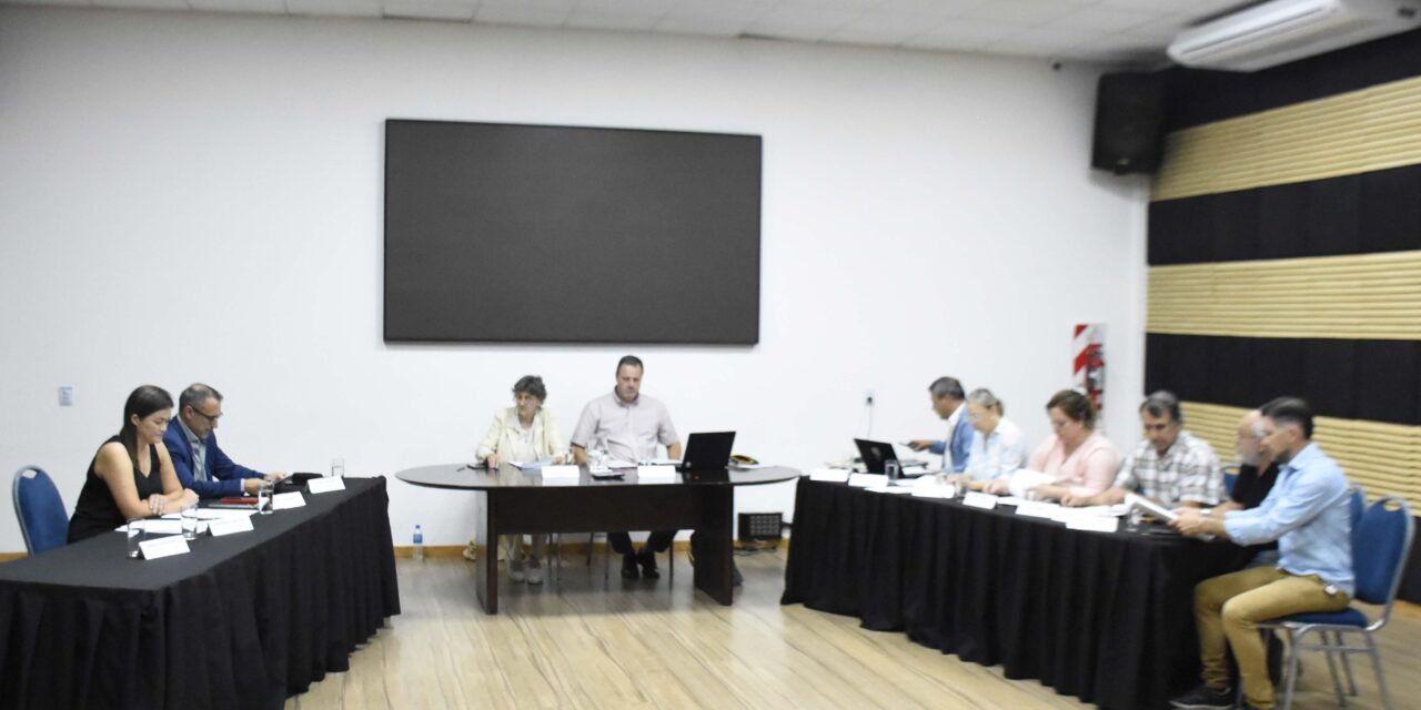 LOS TEMAS TRATADOS EN LA SESIÓN EXTRAORDINARIA DEL CONCEJO DELIBERANTE