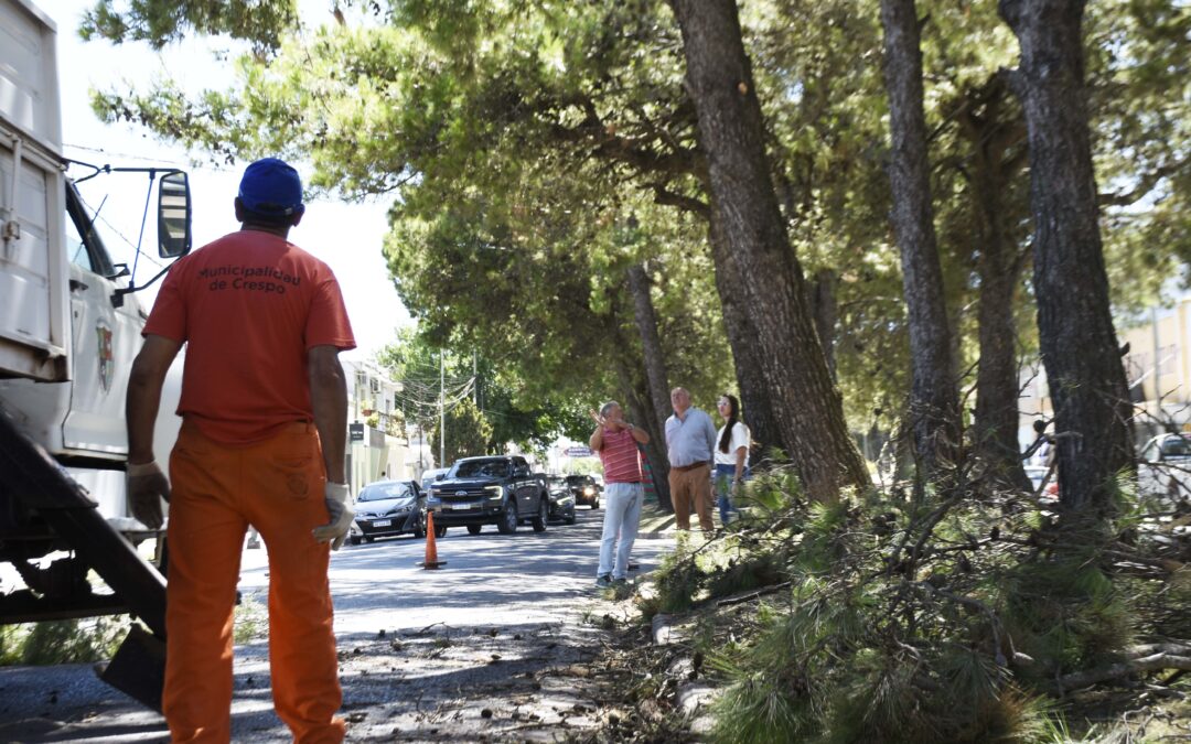 OBRAS EN LA AVENIDA HUMBERTO SERI PARA OPTIMIZAR LA SEGURIDAD VIAL Y LA CIRCULACIÓN