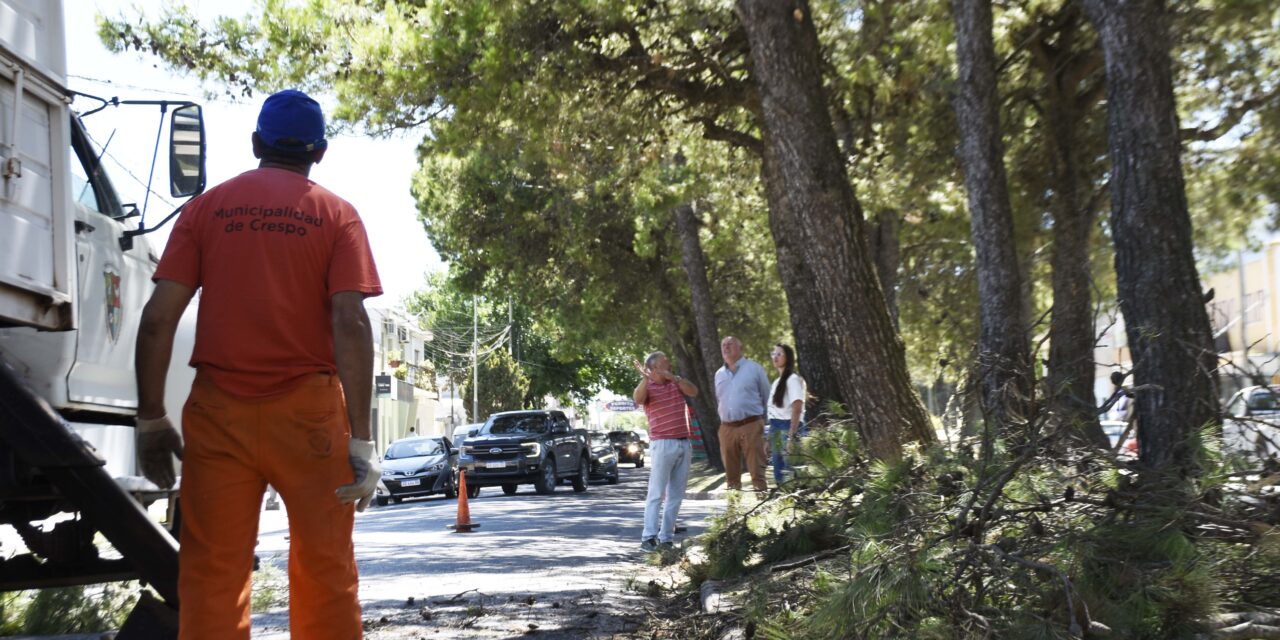 OBRAS EN LA AVENIDA HUMBERTO SERI PARA OPTIMIZAR LA SEGURIDAD VIAL Y LA CIRCULACIÓN