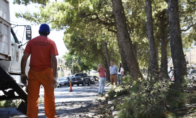 OBRAS EN LA AVENIDA HUMBERTO SERI PARA OPTIMIZAR LA SEGURIDAD VIAL Y LA CIRCULACIÓN