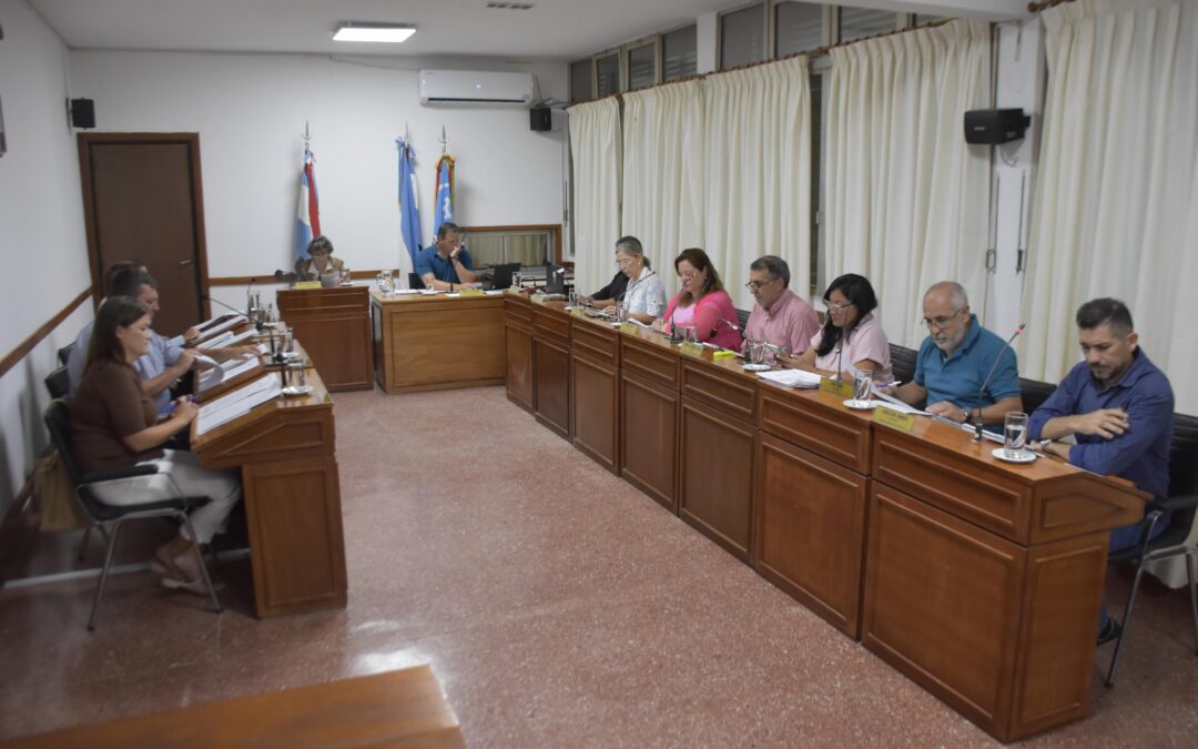 LOS TEMAS TRATADOS EN LA SESIÓN EXTRAORDINARIA DEL CONCEJO DELIBERANTE