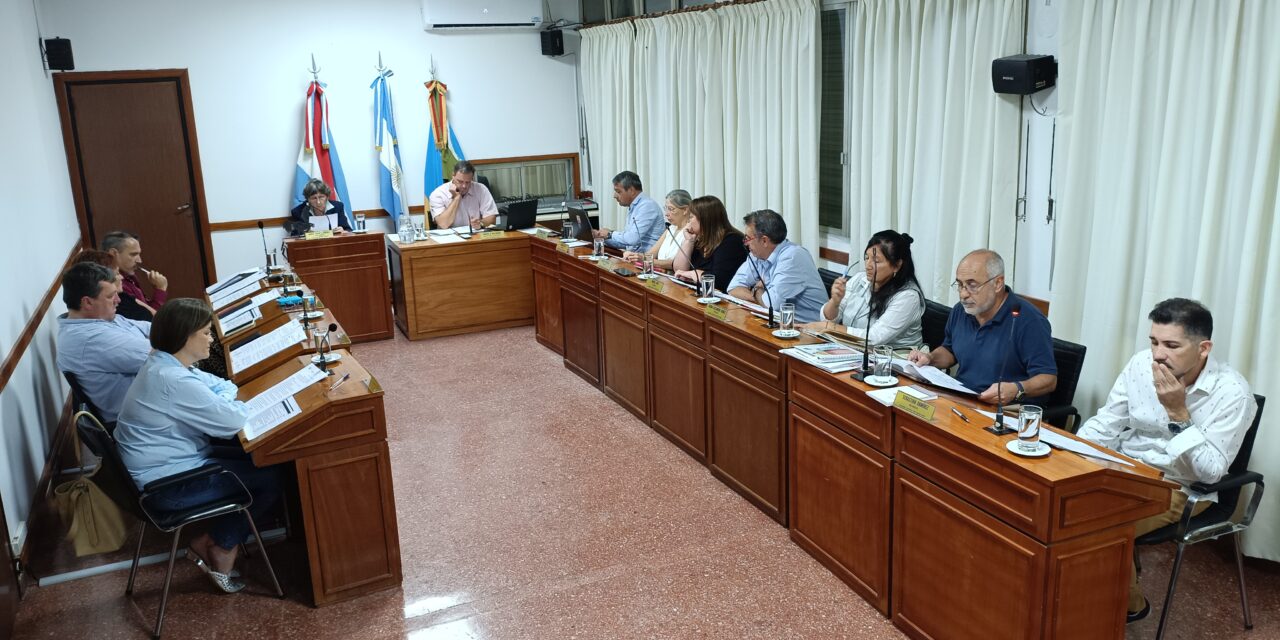 LOS TEMAS TRATADOS EN LAS SESIONES DEL CONCEJO DELIBERANTE