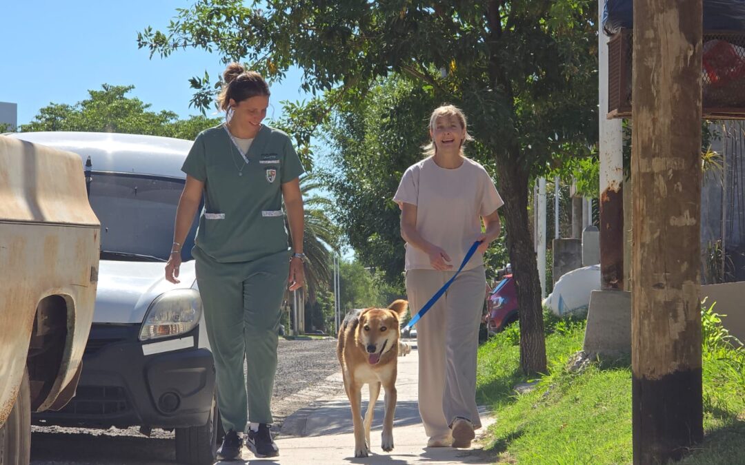 LOS BENEFICIOS DE LA ADOPCIÓN RESPONSABLE DE MASCOTAS