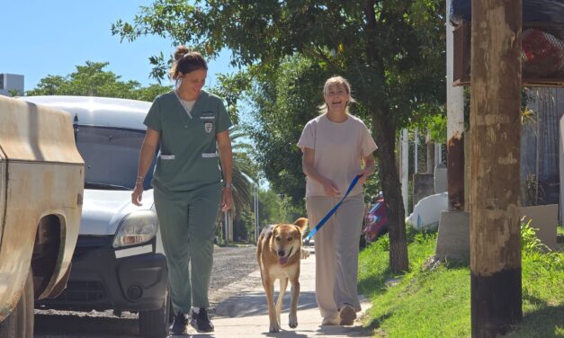 LOS BENEFICIOS DE LA ADOPCIÓN RESPONSABLE DE MASCOTAS