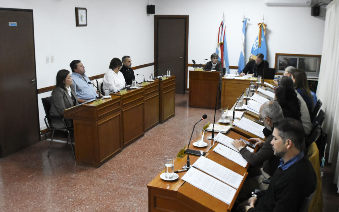 LOS TEMAS TRATADOS EN EL CONCEJO DELIBERANTE