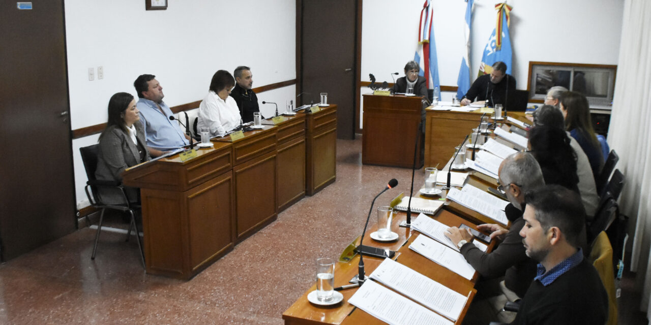 LOS TEMAS TRATADOS EN EL CONCEJO DELIBERANTE