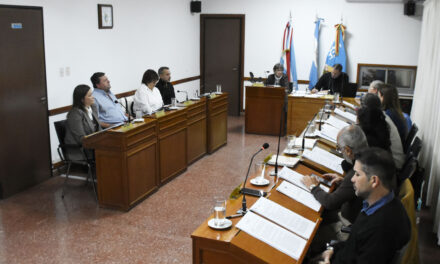 LOS TEMAS TRATADOS EN EL CONCEJO DELIBERANTE