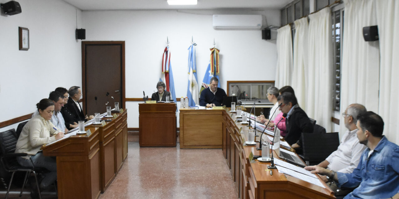 LOS TEMAS TRATADOS EN EL CONCEJO DELIBERANTE