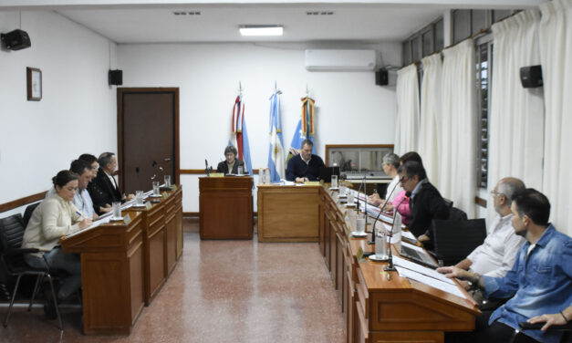 LOS TEMAS TRATADOS EN EL CONCEJO DELIBERANTE