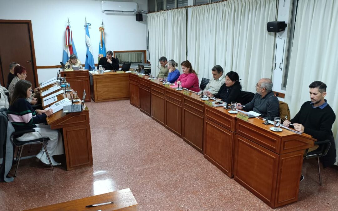 LOS TEMAS TRATADOS EN EL CONCEJO DELIBERANTE