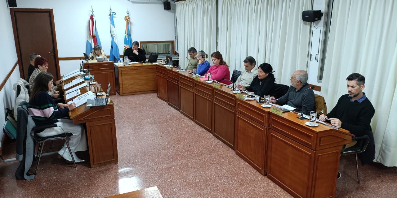 LOS TEMAS TRATADOS EN EL CONCEJO DELIBERANTE