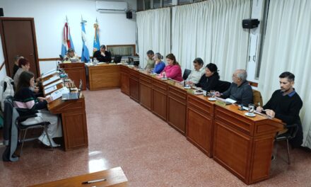 LOS TEMAS TRATADOS EN EL CONCEJO DELIBERANTE