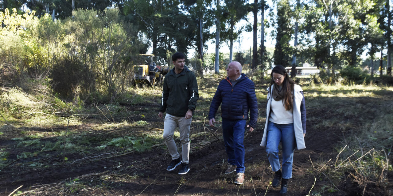 COMENZAMOS A TRANSFORMAR EL PREDIO DEL EJÉRCITO, CON LA CREACION DE UN PARQUE EN EL SECTOR SUR
