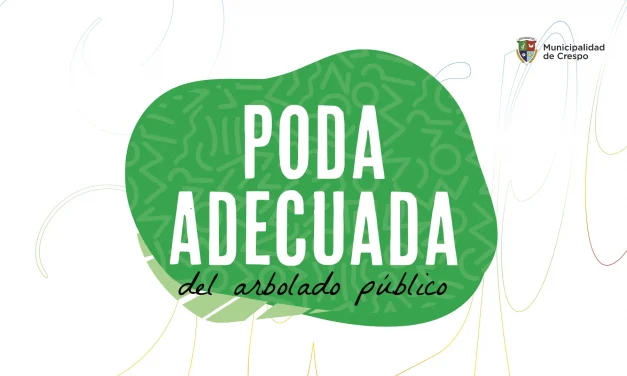 PODA ADECUADA DEL ARBOLADO PÚBLICO