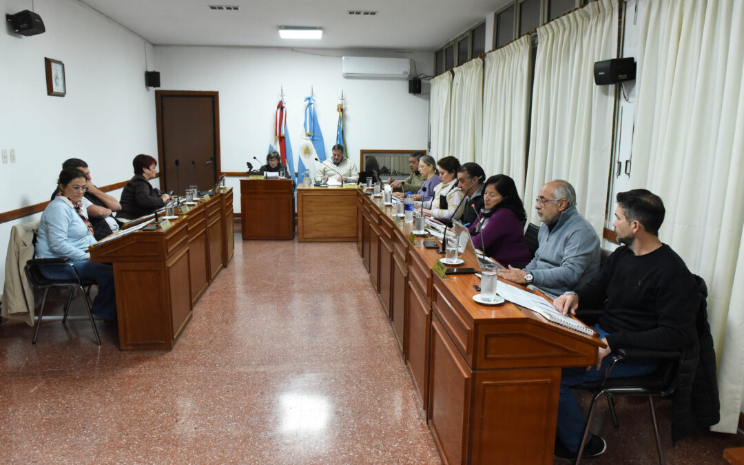 LOS TEMAS TRATADOS EN UNA NUEVA SESIÓN DEL CONCEJO DELIBERANTE