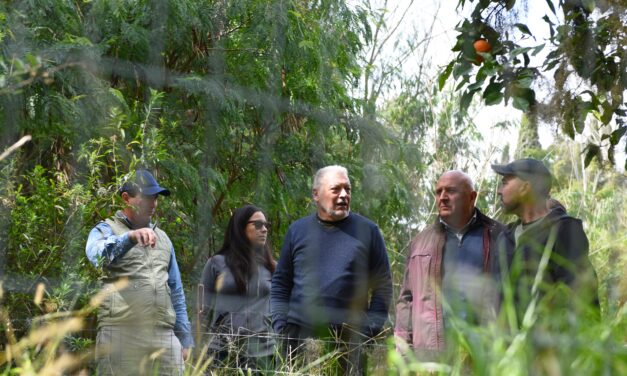 FORTALECEMOS VÍNCULOS PARA IMPULSAR LA PRODUCCIÓN HORTÍCOLA